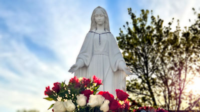 Slideshow Image 3